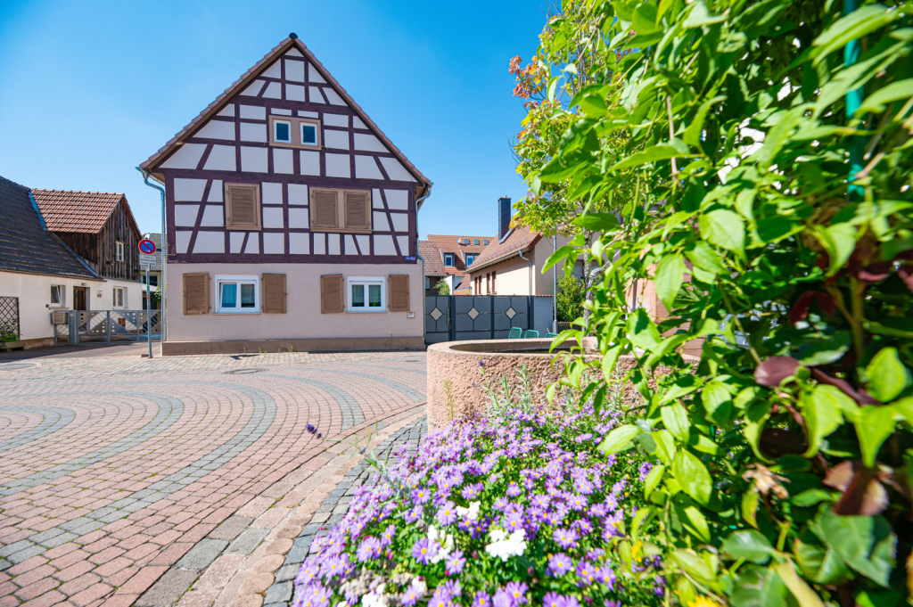Immobilienangebot - Münster - Alle - Altheim: Charmantes Einfamilienhaus zur Kapitalanlage.